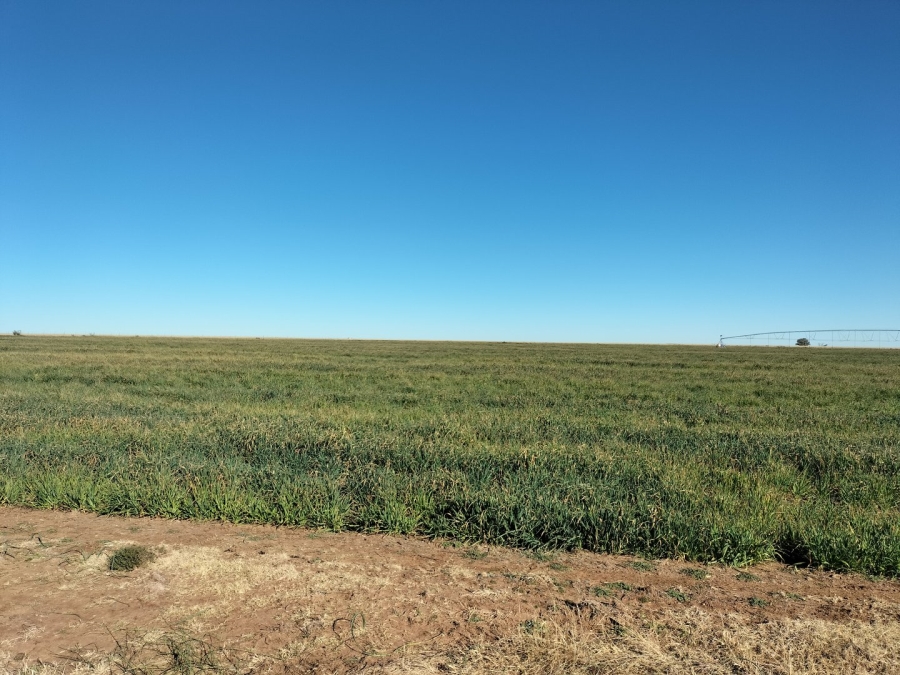 4 Bedroom Property for Sale in Edenburg Rural Free State